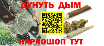 прущие грибы Железногорск