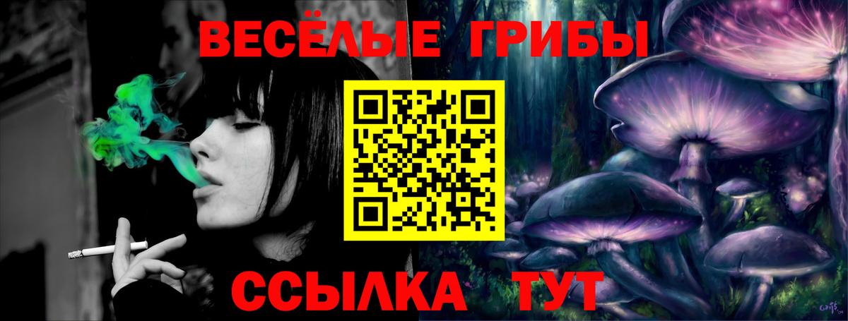Бугуруслан  Псилоцибиновые грибы GOLDEN TEACHER  Вход с VPN 
